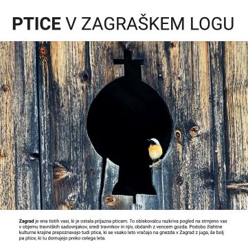 Zgibanka Ptice 2022 WEB 01